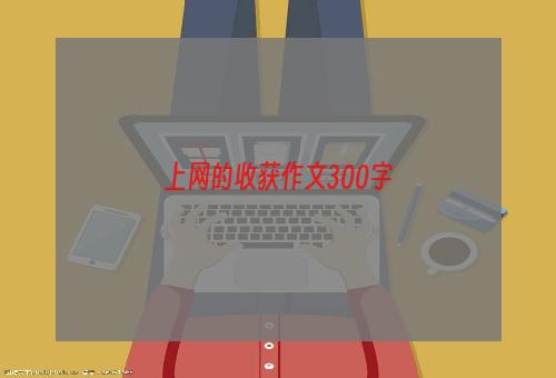 上网的收获作文300字