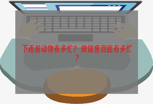 下雨前动物有多忙？ 做销售到底有多忙？