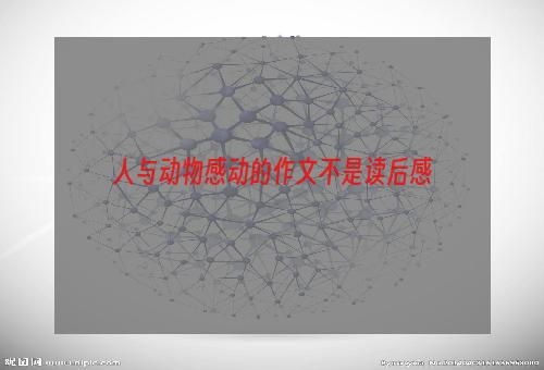 人与动物感动的作文不是读后感