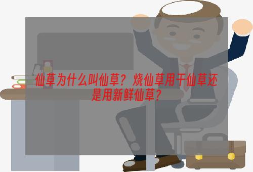 仙草为什么叫仙草？ 烧仙草用干仙草还是用新鲜仙草？