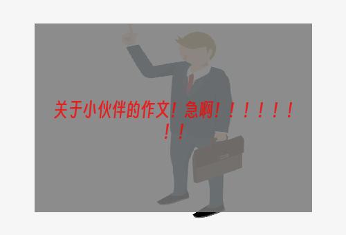 关于小伙伴的作文！急啊！！！！！！！！