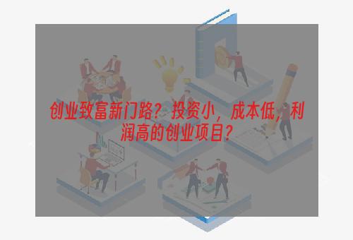 创业致富新门路？ 投资小，成本低，利润高的创业项目？