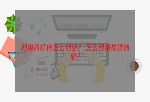 利用西红柿怎么创业？ 怎么利用楼顶创业？