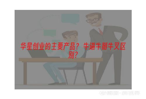 华星创业的主要产品？ 牛逼牛掰牛叉区别？