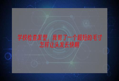 学校检查发型，我剪了一个超短的毛寸怎样让头发长快啊