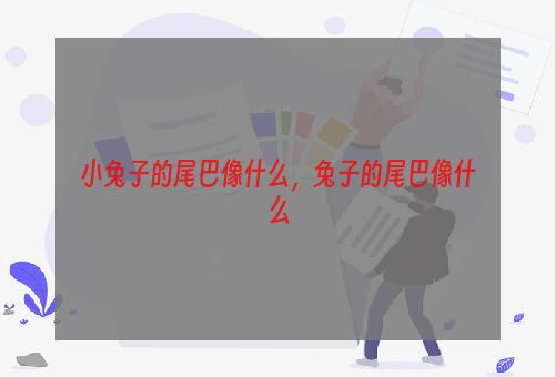 小兔子的尾巴像什么，兔子的尾巴像什么