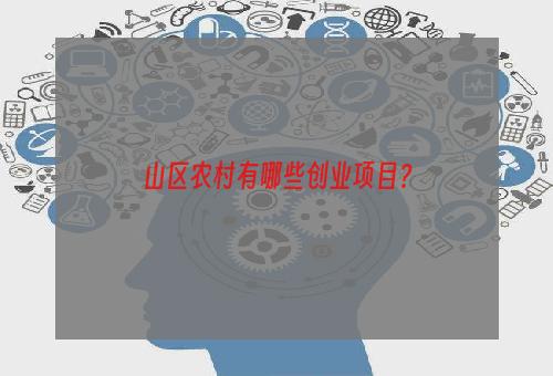 山区农村有哪些创业项目？