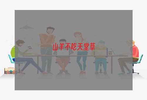 山羊不吃天堂草