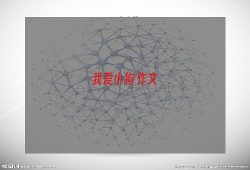 我爱小狗 作文