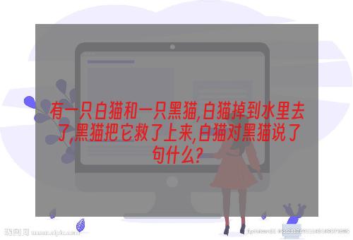 有一只白猫和一只黑猫,白猫掉到水里去了,黑猫把它救了上来,白猫对黑猫说了句什么?