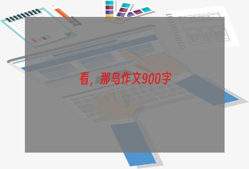 看，那鸟作文900字