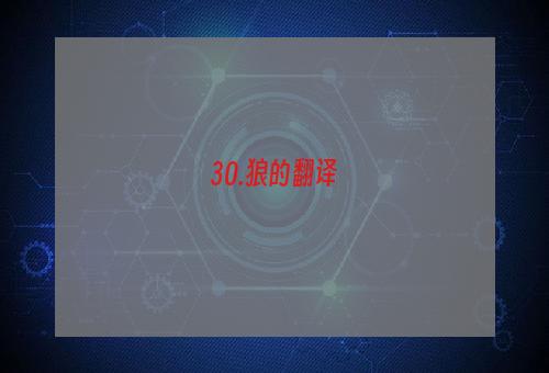 30.狼的翻译