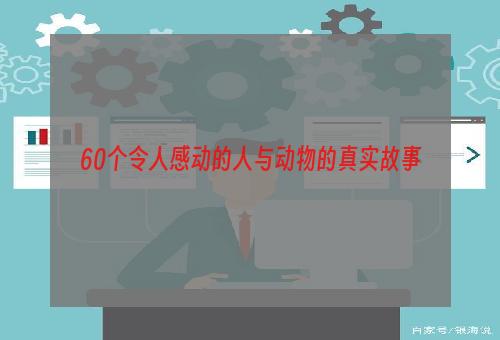 60个令人感动的人与动物的真实故事