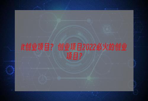 it创业项目？ 创业项目2022必火的创业项目？