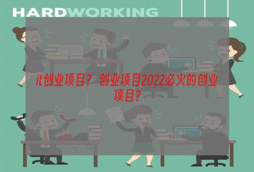 it创业项目？ 创业项目2022必火的创业项目？